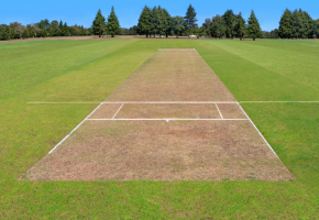 Artificial Cricket Pitch